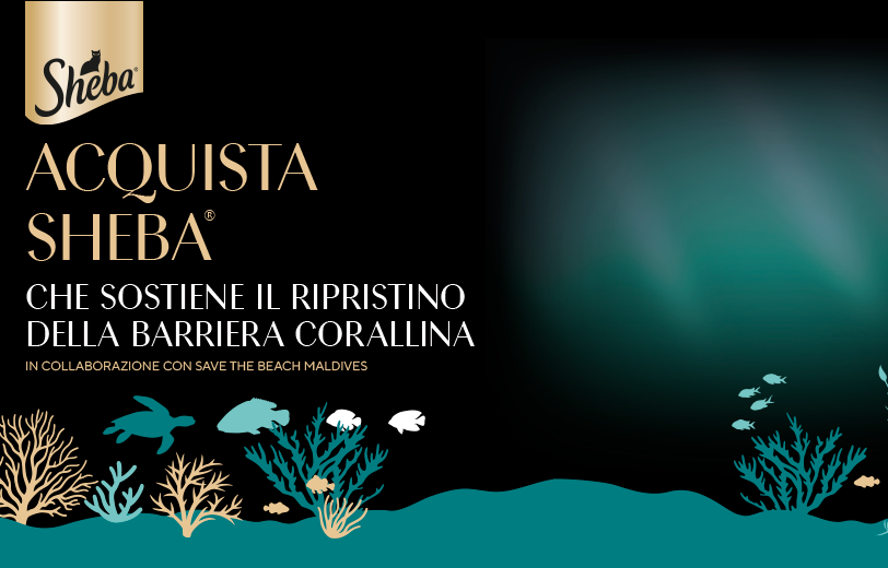 Scopri i prodotti Sheba!
